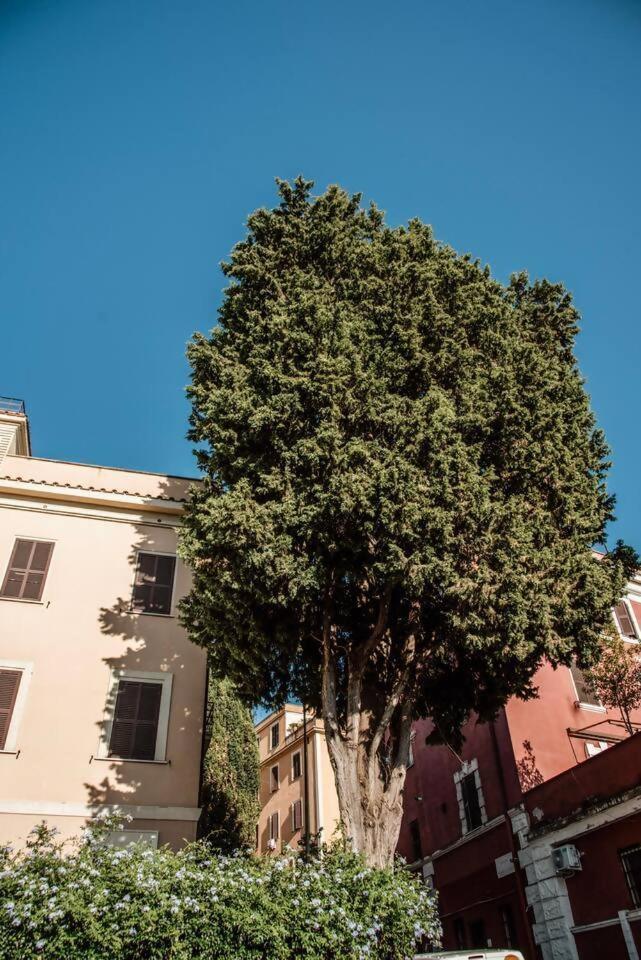 Vatican Del Gallo Apartment Rom