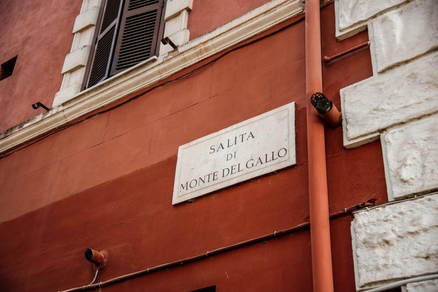 Vatican Del Gallo *